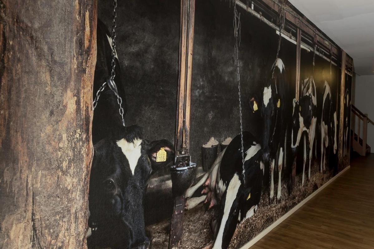 Hotel B&B Hoeve De Vredenhof 추이드라렌 외부 사진